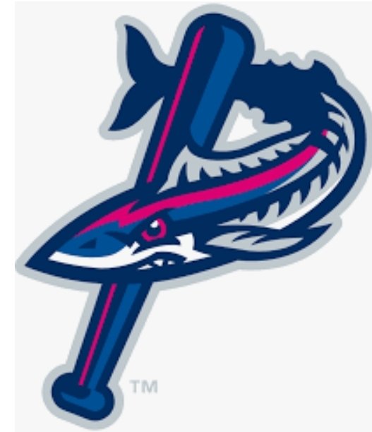 RESULTS FROM THE OPENING ROUND OF  #RobsMinorLeagueMadness...Wahoo! The Pensacola Blue Wahoos beat the Albuquerque Isotopes, 54%-46%.