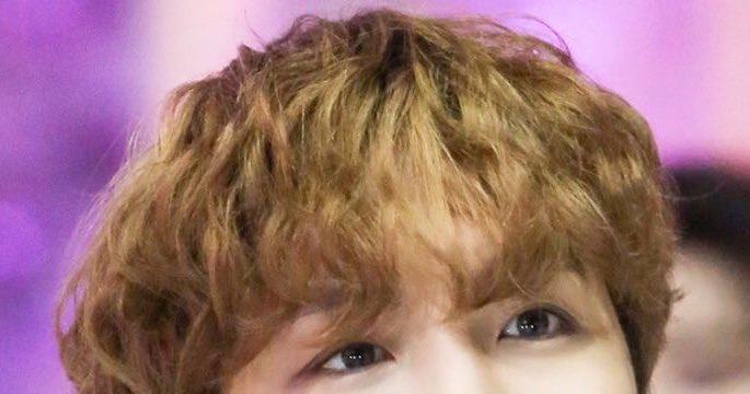 94thinker's tweet photo. fluffy boo 🐻 https://t.co/hn4ZS4rqRY