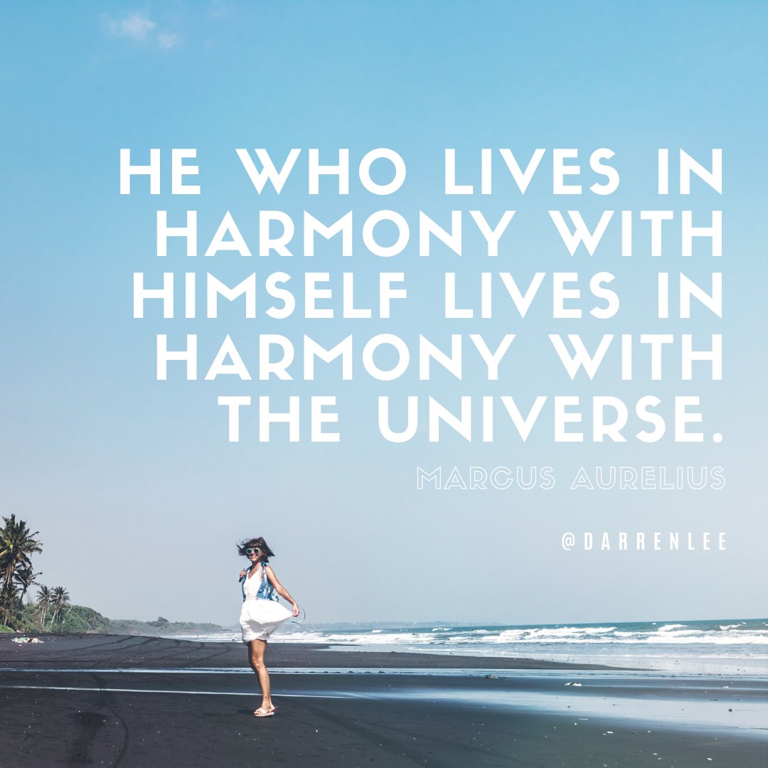 Darren Lee โฉ๐ป tweet media