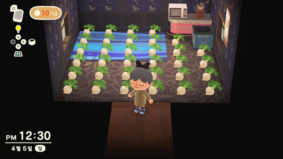 온 집안이 무밭 .... #무주식 #무트코인 #무밭 #모동숲