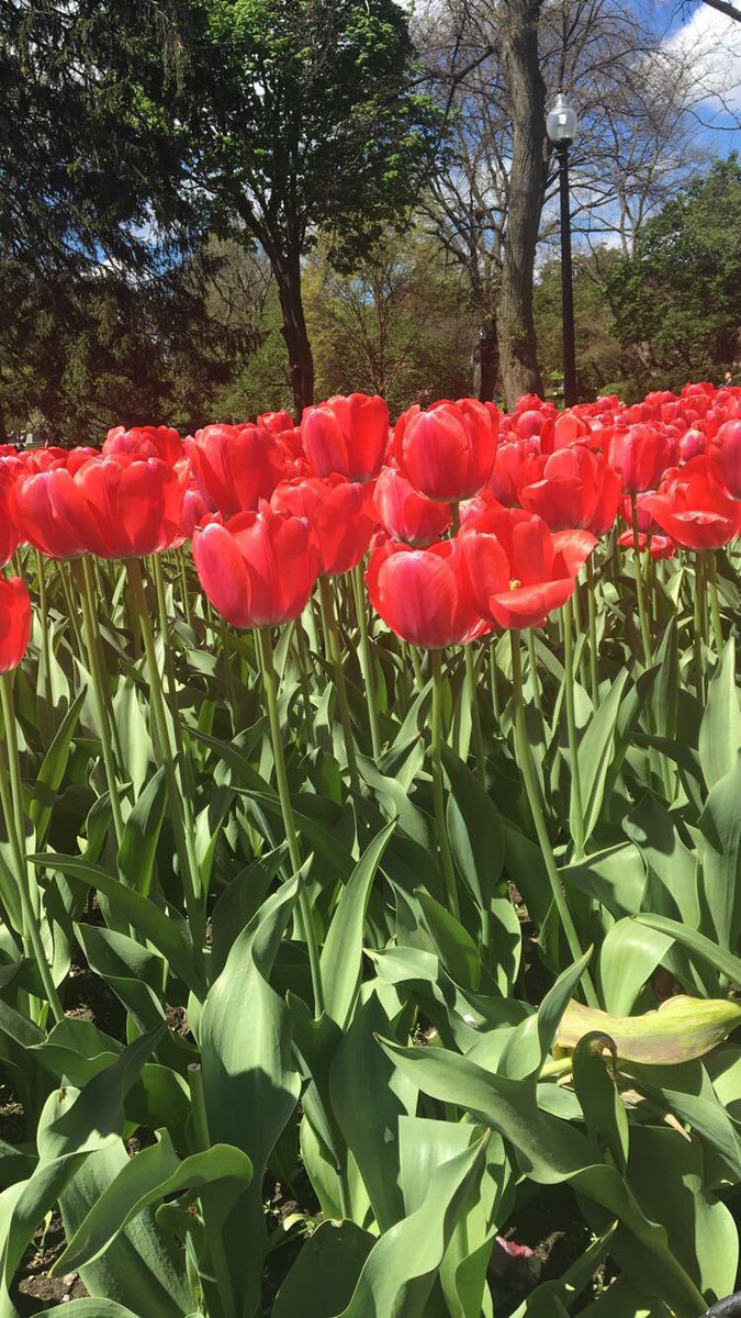 texashope_xo's tweet photo. april showers bring may flowers #healingstartswithin #StayHome #COVID19 #educateyourself #loveyourself #LoveThyNeighbor #tweeterdeeterdump https://t.co/WHyqiEZtAJ