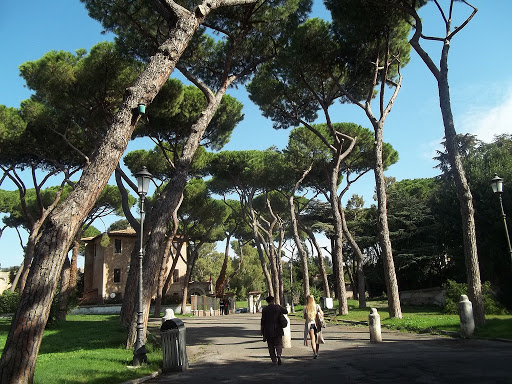 Vamos ahora al colle Oppio, el límite entre el esquilino y el celio. Es un parque hermosa, fresco, con vista al Coliseo y llen de pinos piñoneros, tan típicos es Roma. Veremos el Ludus Magnus, sitio de entrenamiento de gladiadores, y los restos de las termas de Trajano.