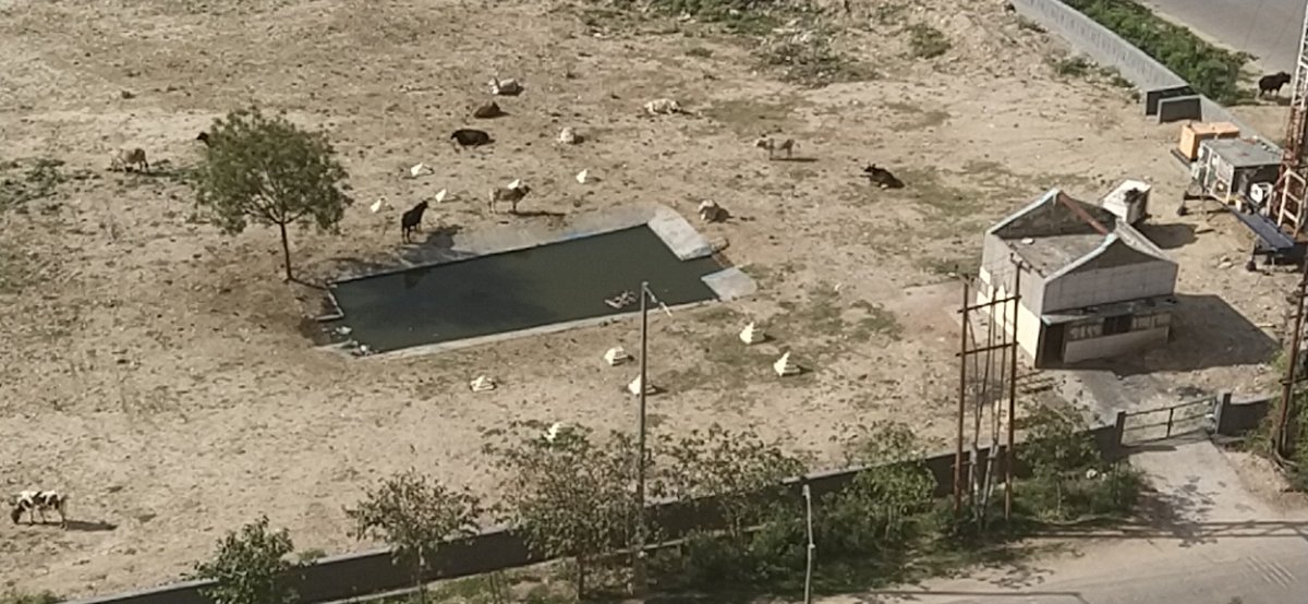 VibhorJ29699991's tweet image. Dis is refilled regularly by Hyde park maintnce staff. An open invitation to malaria thus a risk to Hyde park Residents&apos; life
#noidaauthority
#CEOnoidaauthority