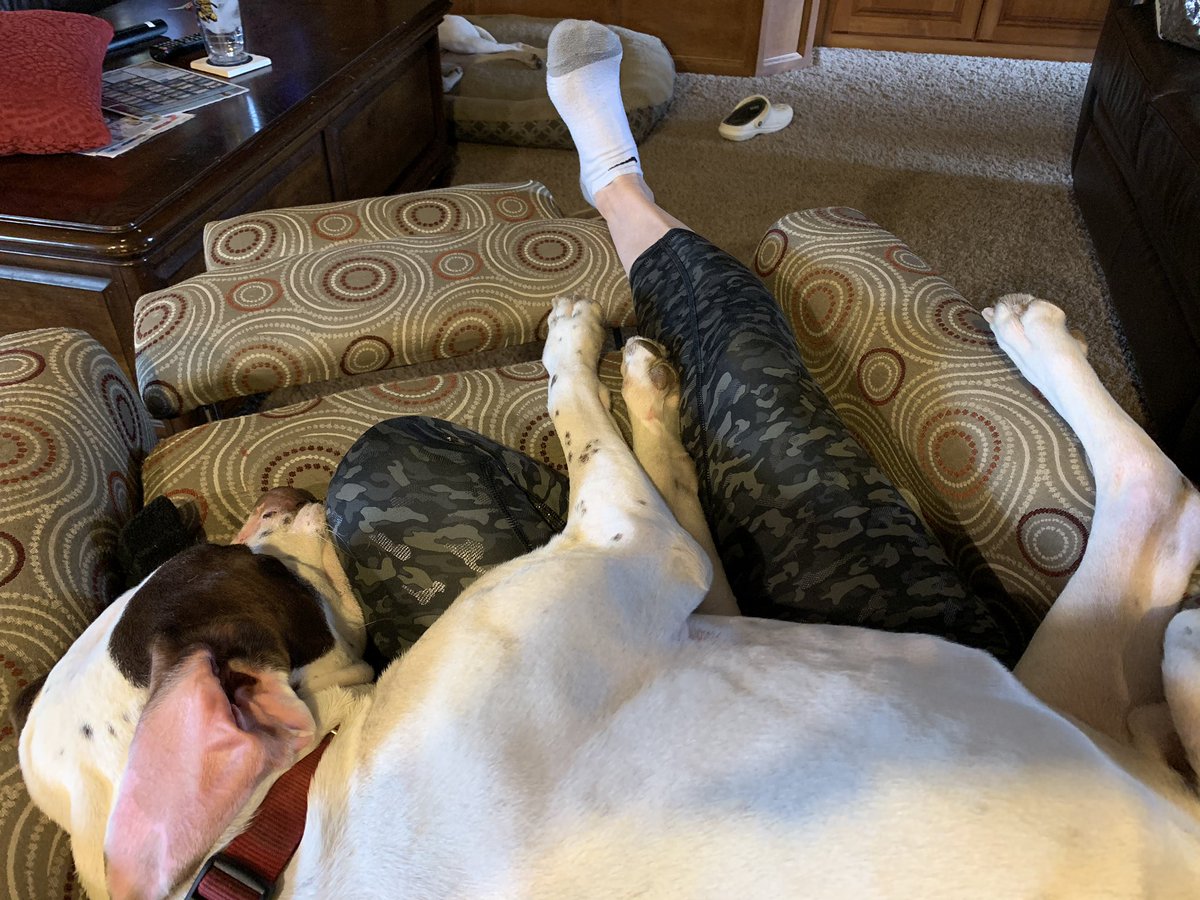 msweatladybug's tweet photo. @DerbySchoolsHR #meatmybest #downtimewithmydog #thebestquarantinetherapy https://t.co/rvQ9FpBlNX