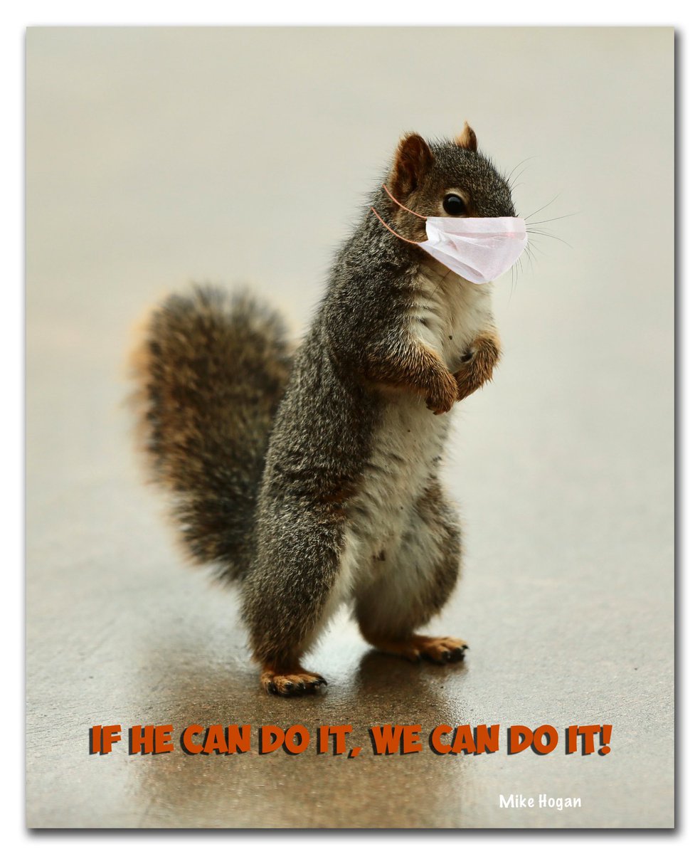 #lockdown #SaturdayNight #AnimalCrossingNewHorizons