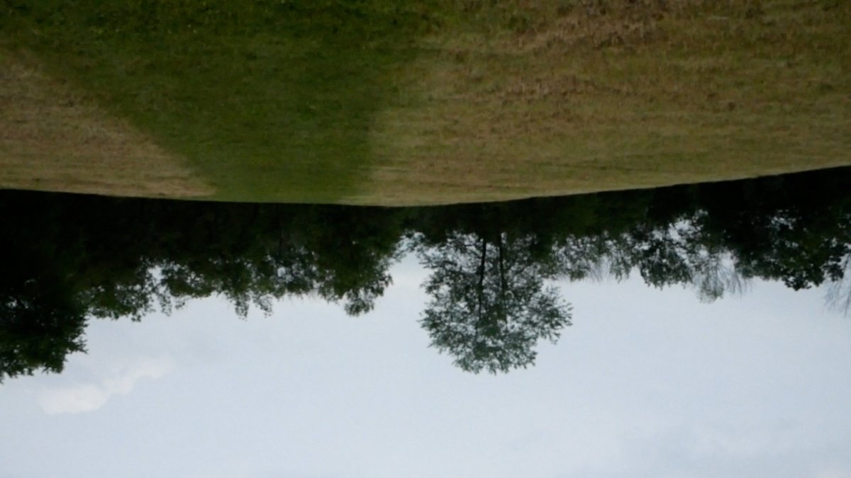 ChiFilmmakers's tweet image. Got a work in progress you'd love to share and get feedback on? As part of our Film Community Conversation series, we're hosting a Virtual Open Studio next Tuesday, April 7 at 5:30 PM led by artist Jose Luis Benavides @LuEeGe . Register here: chicagofilmmakers.activehosted.com/f/15
#OpenStudio