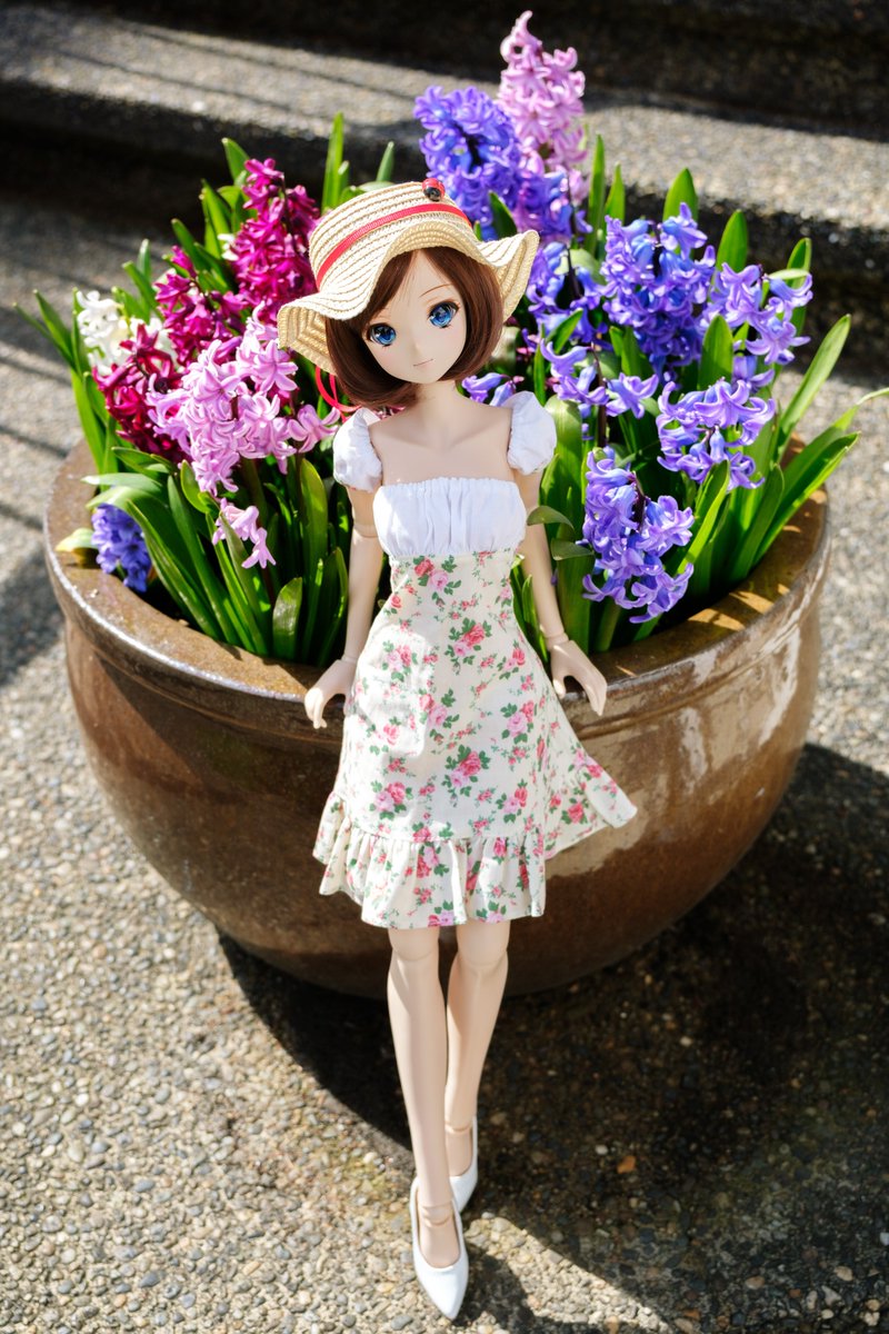 hoshiakariK's tweet photo. Satsuki with her favourite hyacinths; "Blossom by blossom, Spring begins." - Algernon Charles Swinburne

Her dress / @puppy52
https://t.co/zGwNU7Vs7U

Satsuki is a Starlight @smartdoll by @dannychoo 

#smartdoll #smartdollstarlight #culturejapan https://t.co/NNk3iLUFhO