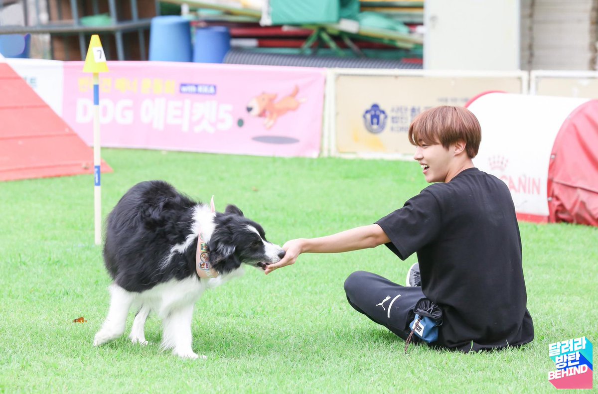 Hi everyone  I'm back with part 2 of Run BTS behind photos from the past. Hoseok edition! Enjoy the THREAD! Hoseok with this dog is so so cute!! My heart has melted!   #제이홉  #JHOPE  #방탄소년단제이홉