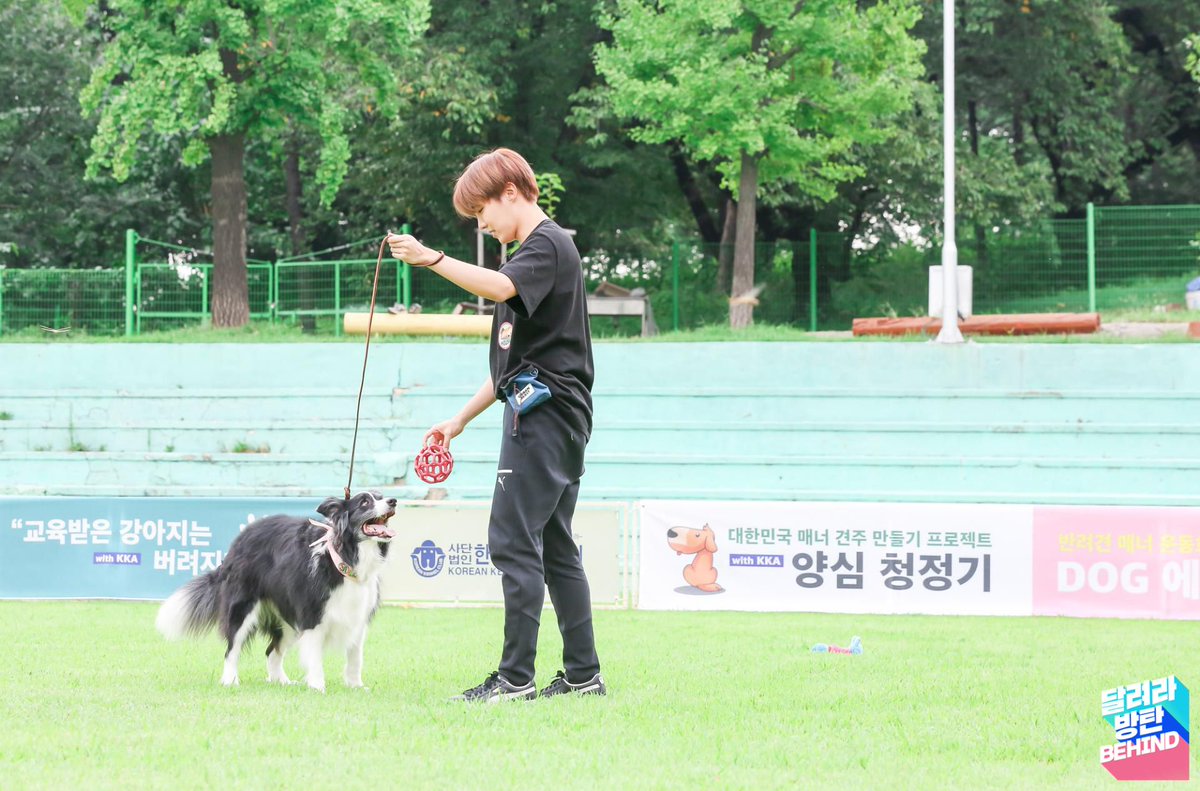 He looks so happyy running with the dog!! I love seeing him filled with joy!  Ha ha Jimin's dog is barking at him in the last one lol  #제이홉  #JHOPE  #방탄소년단제이홉