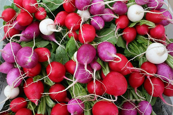 With everyone trying to practice #socialdistancing these days, now might be the perfect time to convert your #farm business into an #onlinestore. Learn how with Extension agent Debbie Roos' (<a href="/GrowSmallFarms/">Debbie Roos</a>) upcoming #webinar on April 9: ncst.at/iM4c30qvljQ