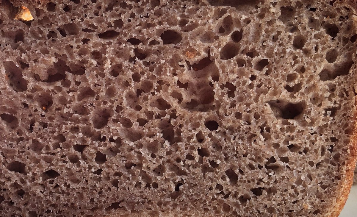 Gorgeous crumb on this whole-wheat #sourdough #bread loaf.  Incredible strength and chewiness - made with a sourdough #yeast culture captured in San Francisco from Wild Culture Sourdough Starters.  Get your sourdough starter today with fast shipping at wild-culture.com