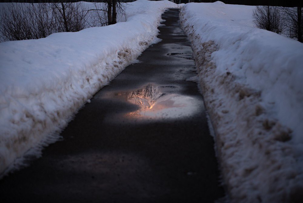 In Revelstoke you don't always need to look up to be inspired.⁠
⁠
📸 @felicias_nikond5000⁠
#TheRealStoke #Revelstoke #ExploreBCLater