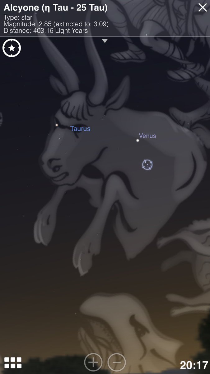 Opposite the full moon, Venus is illuminated in the western sky  next to the star cluster of the Pleaides (the seven sisters). Unique alignment  @LadyQanuck