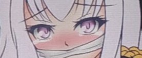 R指定のtwitterイラスト検索結果