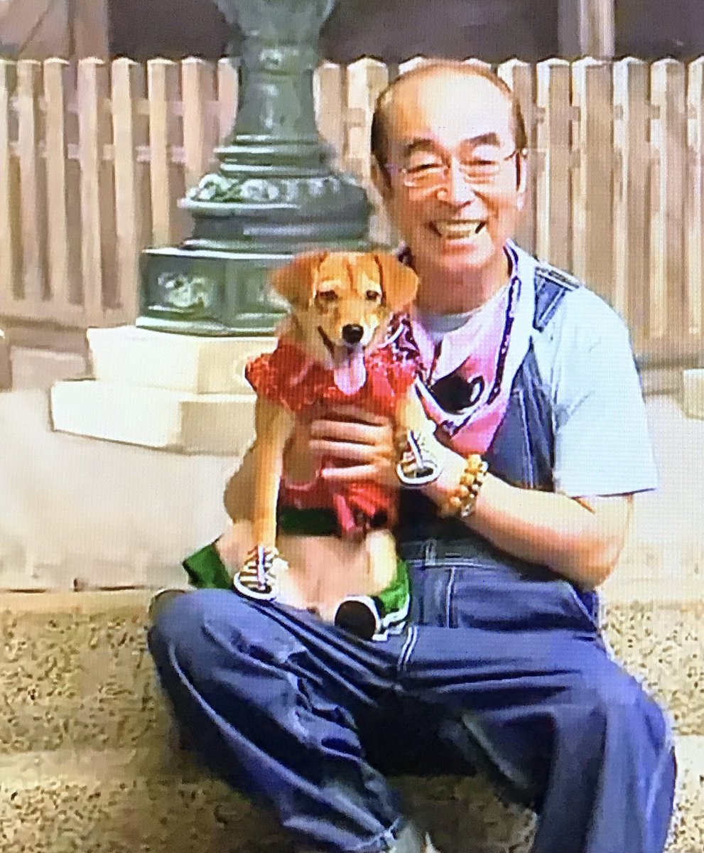 みんなのもみさんぽ 志村けんさんありがとうございました こんぴらさん石段かご 天才 志村どうぶつ園 志村園長と捨て犬ちび 階段785段 こんぴらさんへ 13 9 14放送 志村けん 天才志村どうぶつ園 こんぴらさん 琴平町