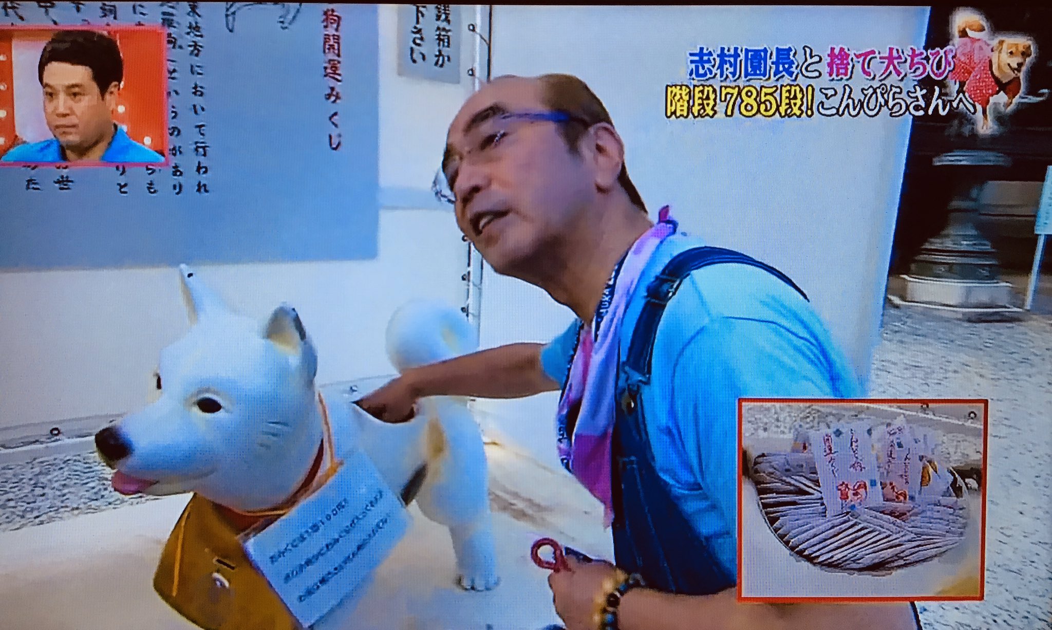 تويتر みんなのもみさんぽ على تويتر 志村けんさんありがとうございました 天才 志村どうぶつ園 志村園長と捨て犬ちび 階段785段 こんぴらさんへ 13 9 14放送 志村けん 天才志村どうぶつ園 こんぴらさん 琴平町 T Co 7dmwco0o2f