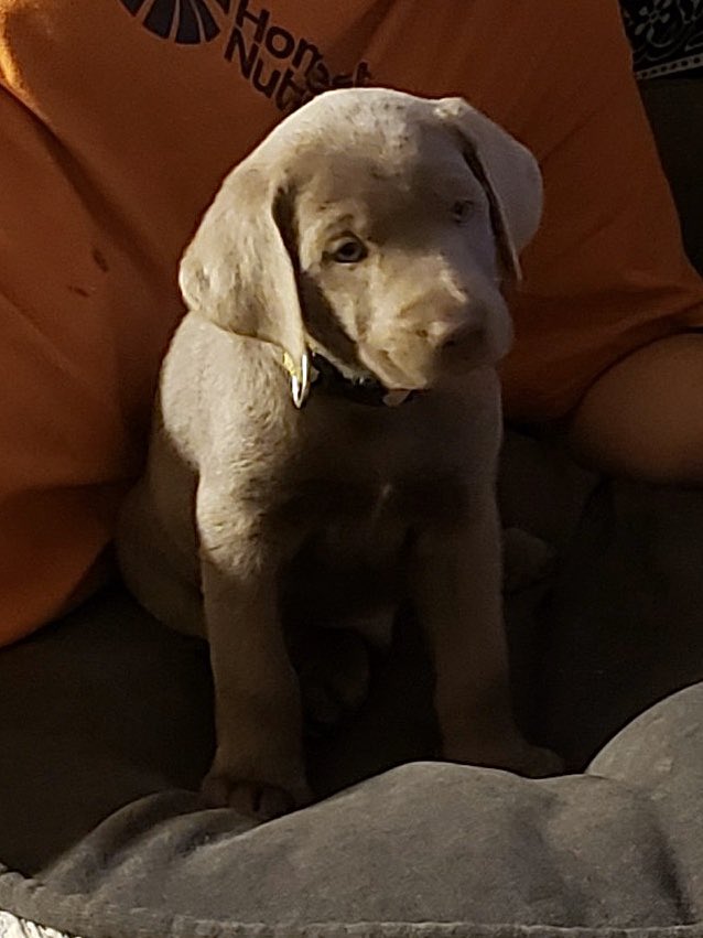 Can’t wait to bring my baby home in 10 days❤️❤️