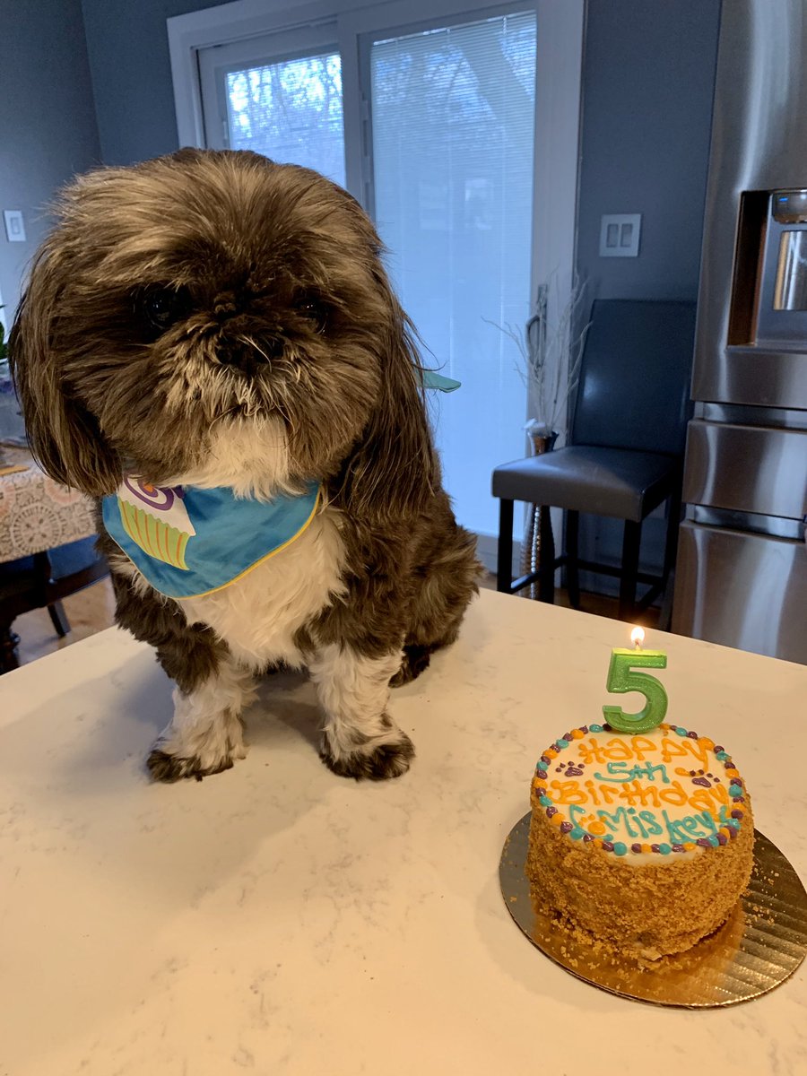 They say it’s his birthday!  Happy 5th Birthday to Comiskey!!  🎂🎈🎁