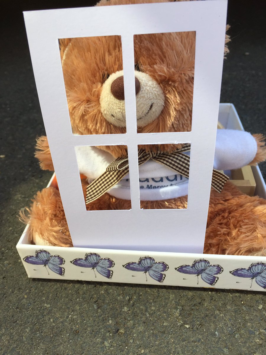 Day 11 The kids have finally put a teddy bear in the window. In related news, Dad has tripped over the coffee table.  #DollshouseLockdown  #nzlockdown  #teddybearhunt