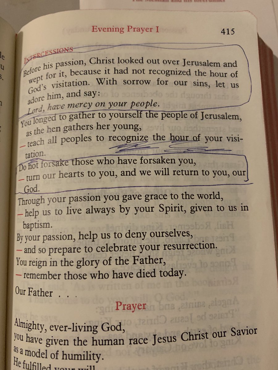 kathrynlopez's tweet photo. This really is going to be some #HolyWeek #HolyWeek2020 #PalmSunday #EveningPrayer #BreviaryView https://t.co/cNRyheHeOJ
