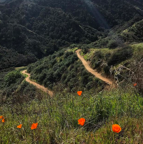 monicabazan's tweet photo. Bringing your a moment of peace and calm from Santa Clarita -- this nearby Towsley hike is full of poppies in the springtime!

📷ryliejunesadventures
#hikescv #hikesantaclarita #nature #covid19 #isolation #justsold #realtor#santaclarita #monicabazan #monicabazanrealestate https://t.co/4K9O8BaZLZ