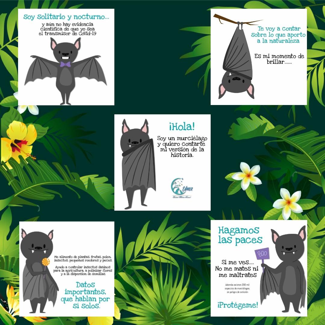 UPALmx's tweet photo. #NoCulpables por está #PandemiaMundial por el #COVID19
Los #Murcielagos al igual que las #Abejas son #polinizadores y además estos bellos #Mamiferos son control natural de #Insectos que pueden ser una #Plaga https://t.co/MiBkt8AbOi
