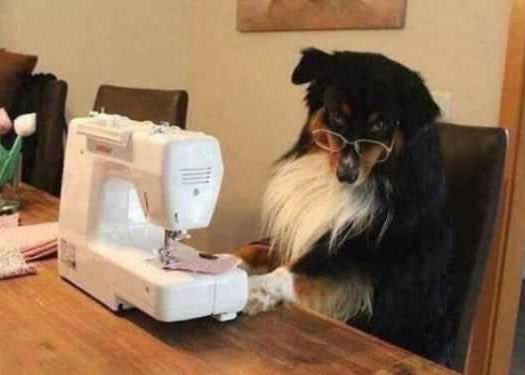 thelaceylondon's tweet photo. In six words or fewer, write a story about this photo...  

#amwriting #sixwordstory https://t.co/ttdPGn9lDO