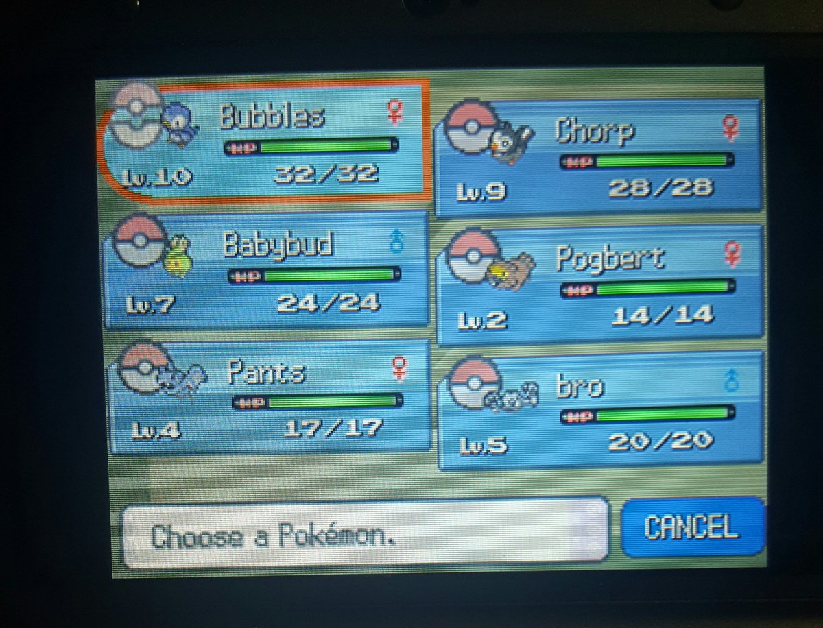 To catch things up, I chose Piplup as my starter and just finished leveling up Piplup, Budew, and Starly in preparation for the first real challenge of the playthrough: the rival fight just outside of Jublife City.
