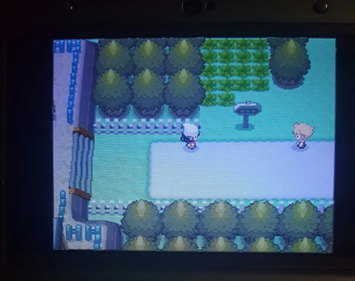 To catch things up, I chose Piplup as my starter and just finished leveling up Piplup, Budew, and Starly in preparation for the first real challenge of the playthrough: the rival fight just outside of Jublife City.