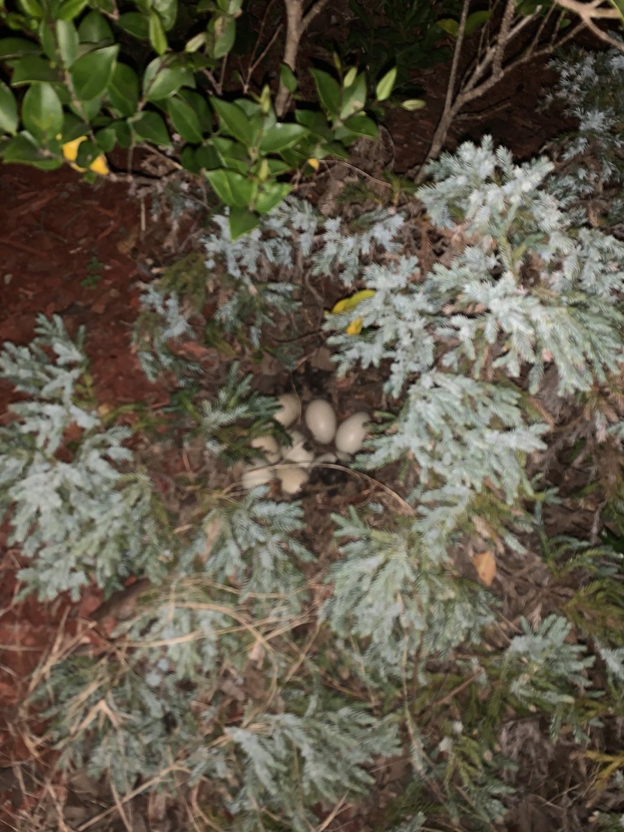 trying to stay hired tweet media