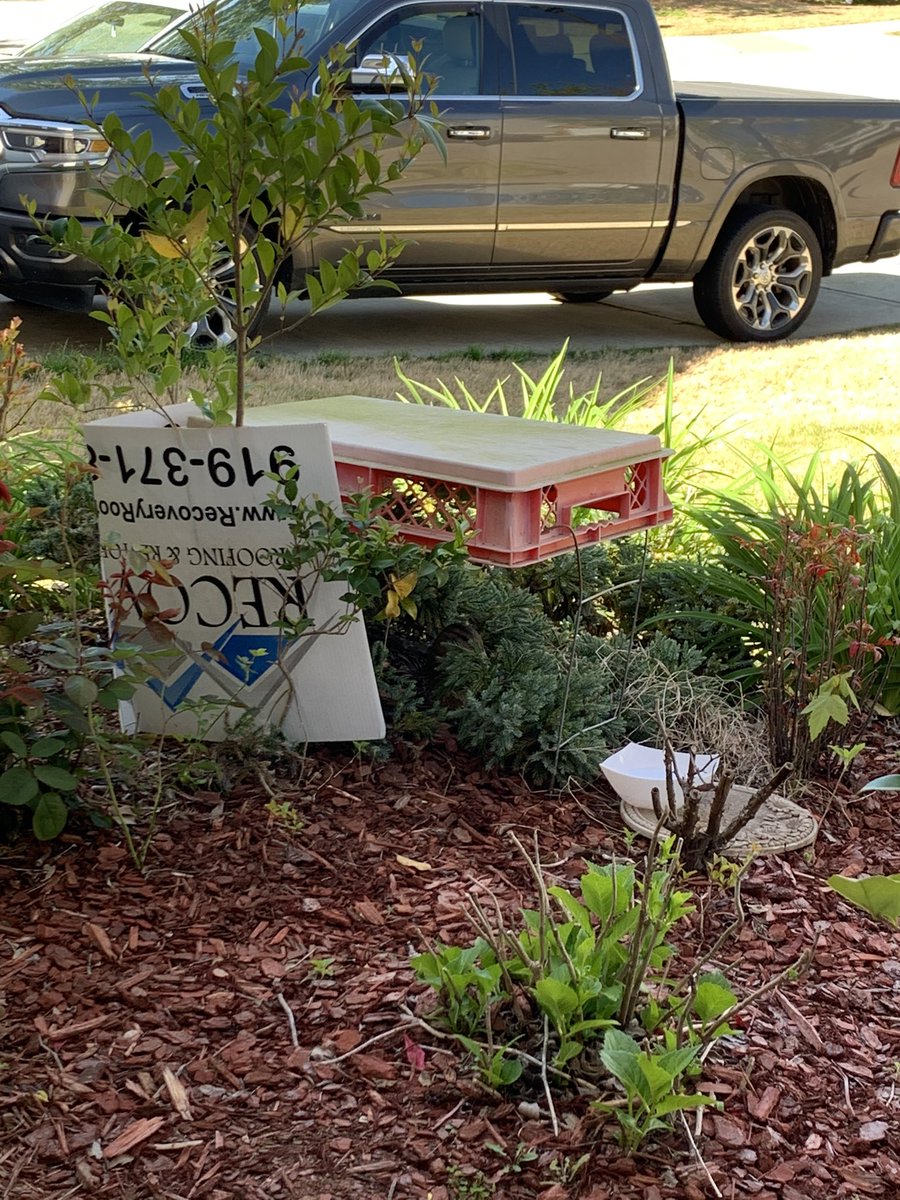 trying to stay hired tweet media