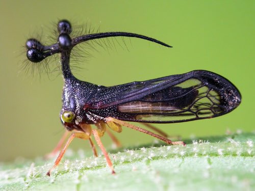 EUzYNfgUEAExoE6.jpg?format=jpg