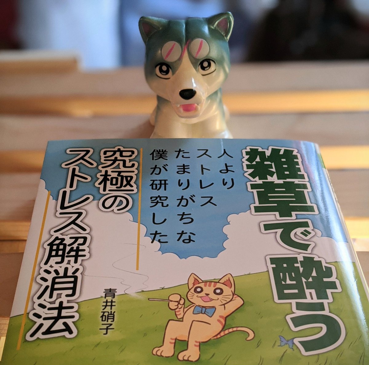 Jeru The Tamachan この猫のtシャツ2枚予約しちゃいました W