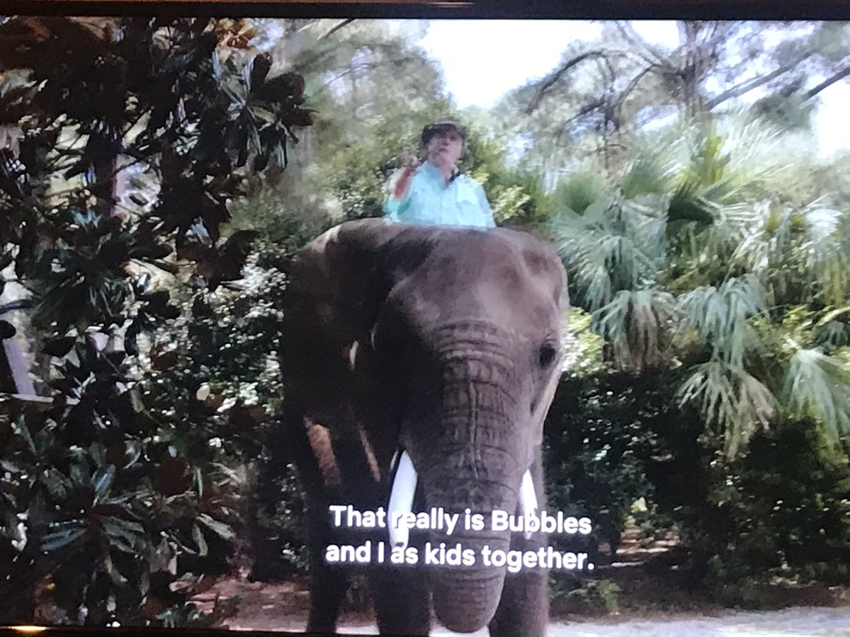 leave the elephant alone!!!!!!