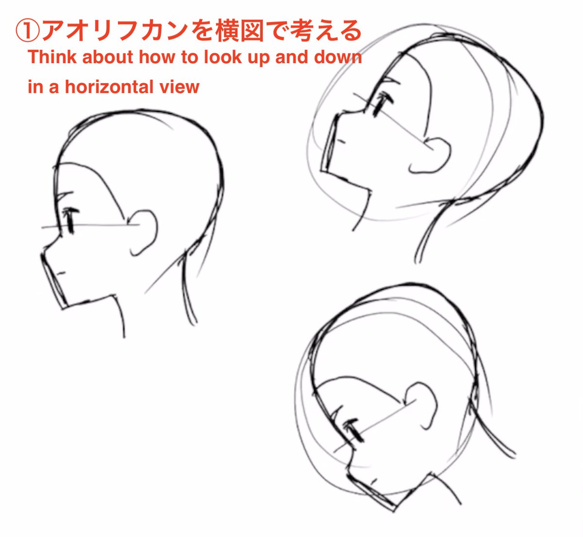Anime Private School On Twitter Think About How To Look Up And Down In A Horizontal View Face Parts Are Concentrated Downward When Facing Down Concentrate Upwards In The Center Add A