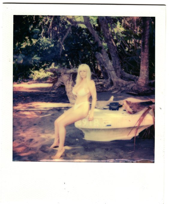 polaroids from costa rica🦋 https://t.co/oUqVF4s9wm