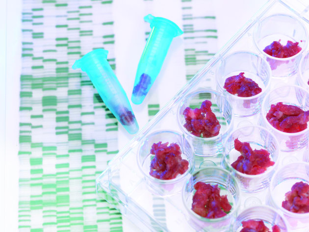 Clean Meat tweet media