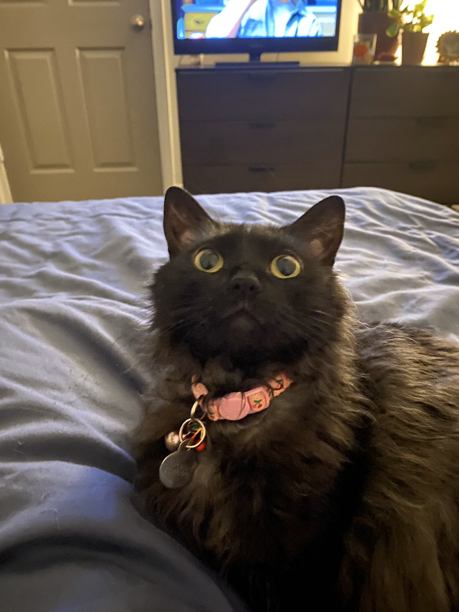 Blessing your feed, like for good luck #thebinx