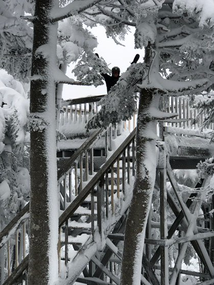 CbrightSnowcat's tweet photo. The only safe stair run https://t.co/2I2crji6bw