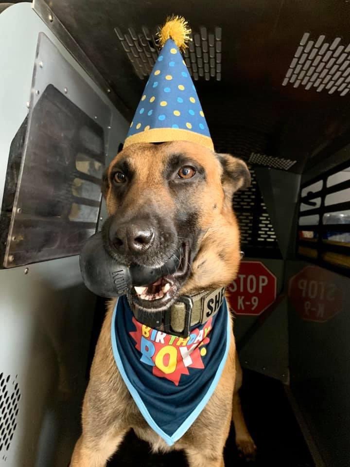 Wilco Sheriff's K9 Unit tweet media