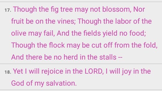 atomills's tweet image. HABAKKUK 3:17&amp;amp;18#TheBibleverseChallenge