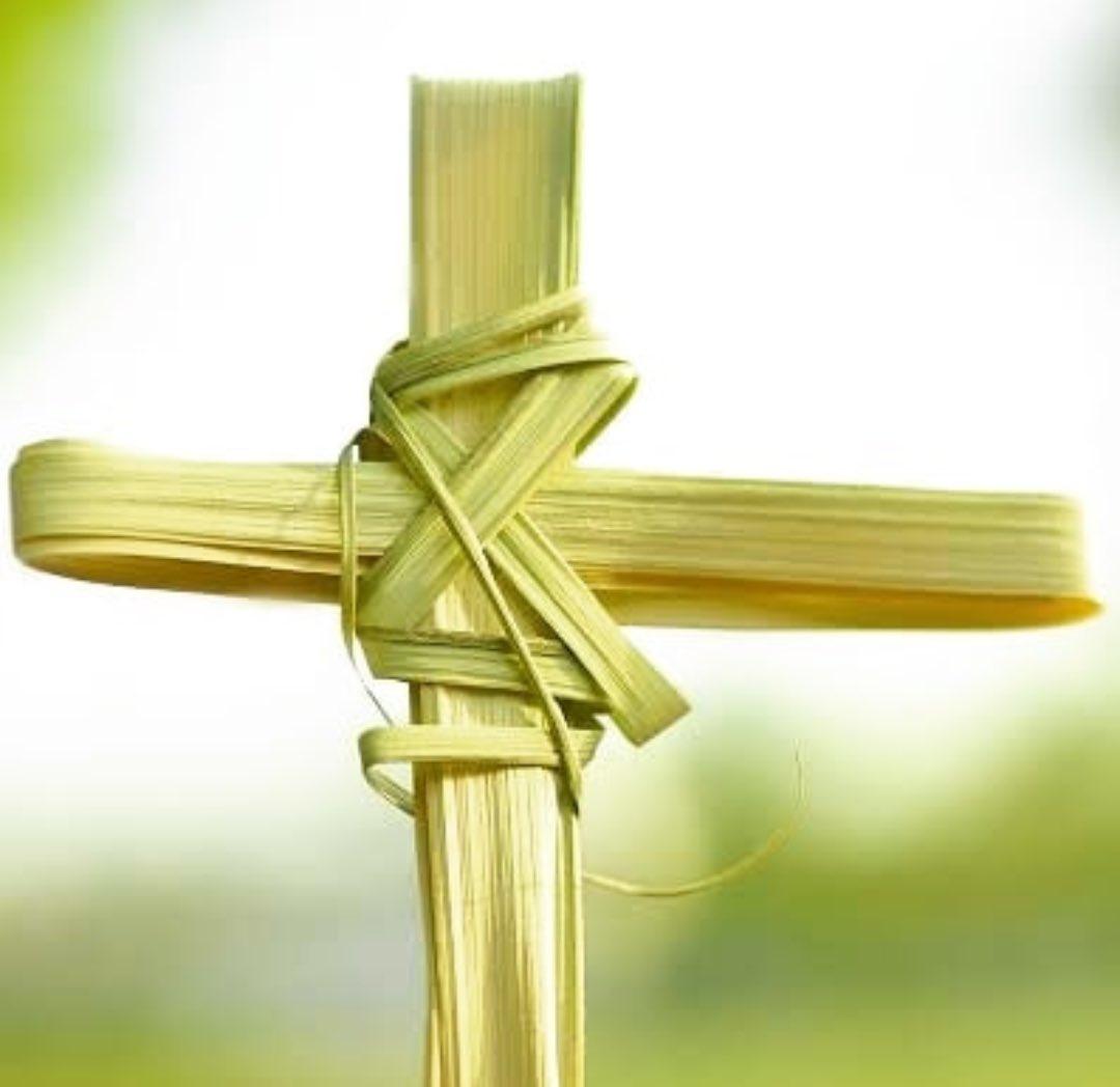 atomills's tweet image. Palmsunday: the begining of the victorious end.