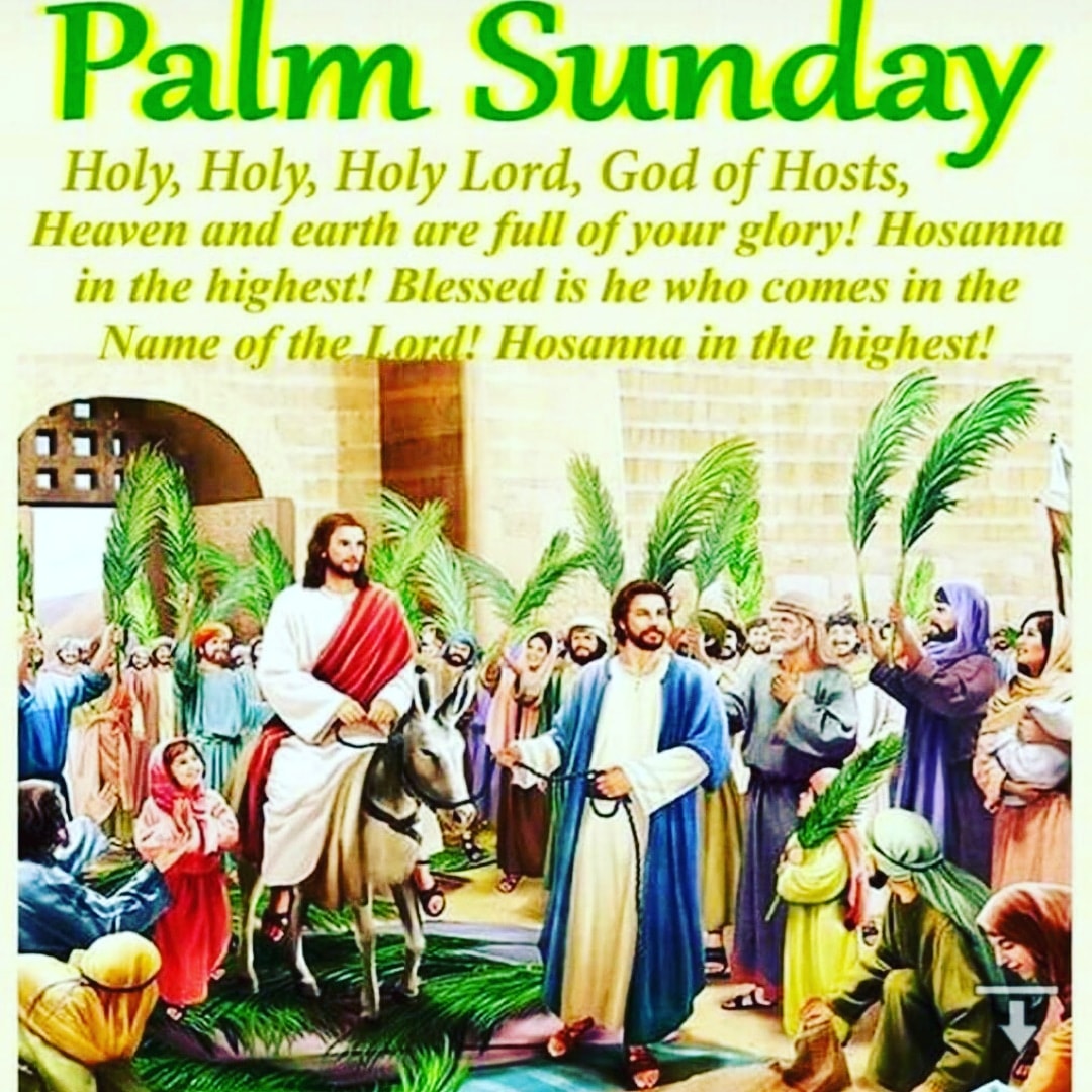 Happy blessed palm Sunday to all 🙏🙏