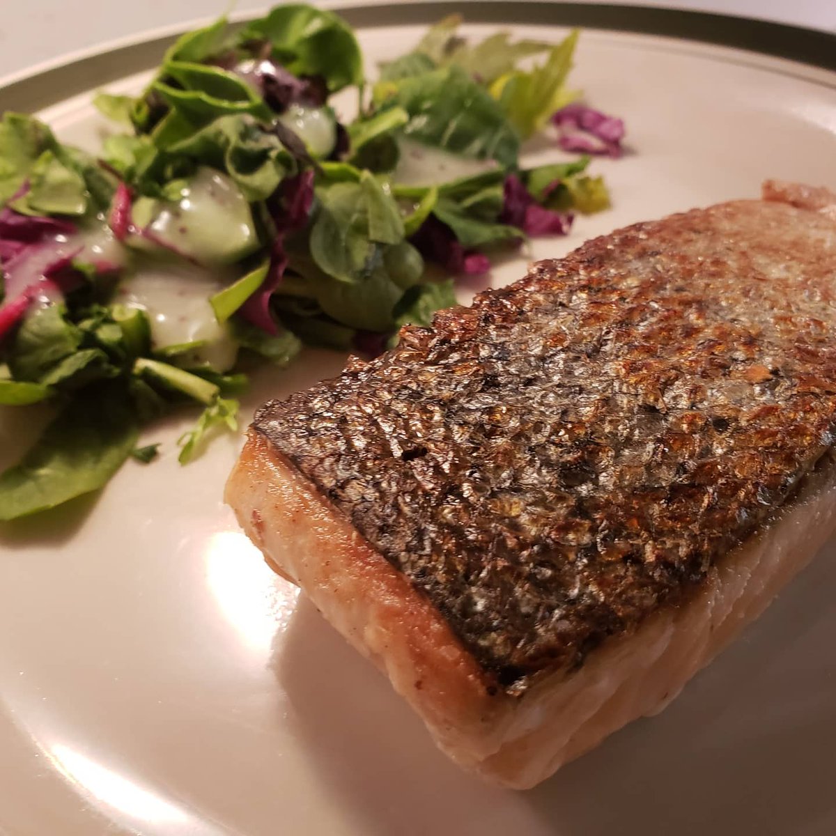 soulfoodscholar's tweet photo. Tonight's #physicaldistancekitchen: pan seared #salmon, mixed #salad #greens with #poppyseeddressing. https://t.co/1MlSY1MIgC