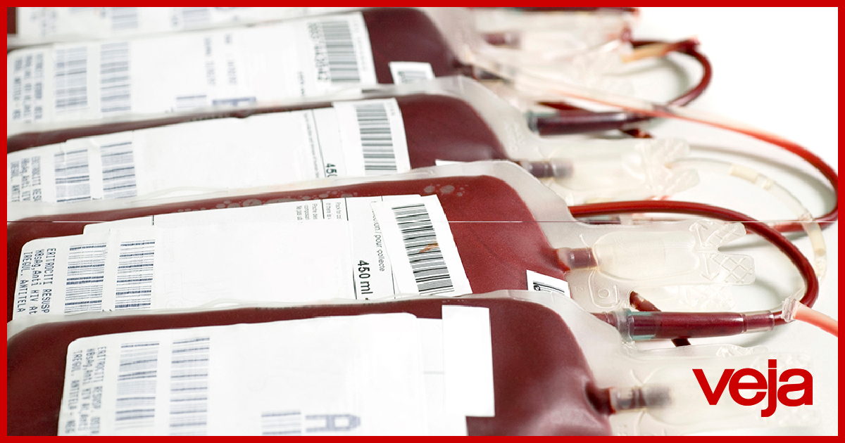 VEJA's tweet image. Coronavírus: sangue de pacientes curados pode ajudar nos casos graves
veja.abril.com.br/saude/coronavi…