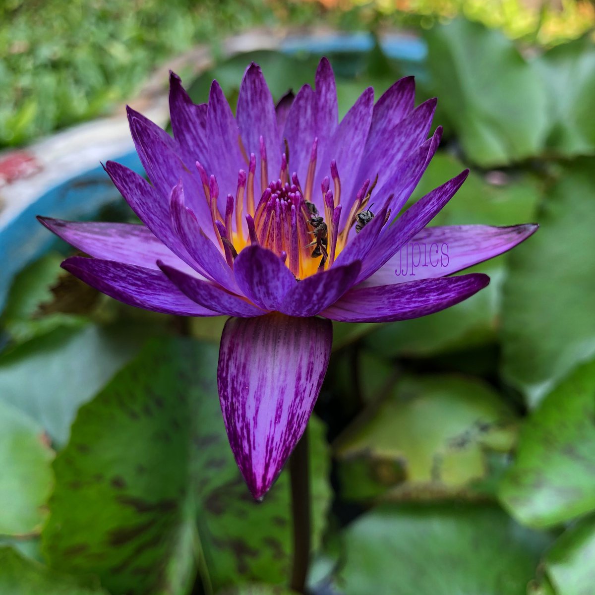 🇹🇭💜geejee💜🇹🇭 tweet media