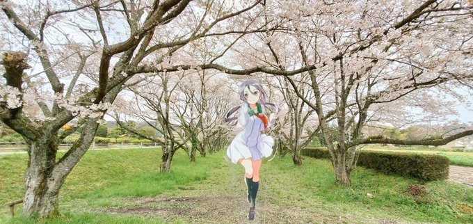 桜並木のtwitterイラスト検索結果 古い順