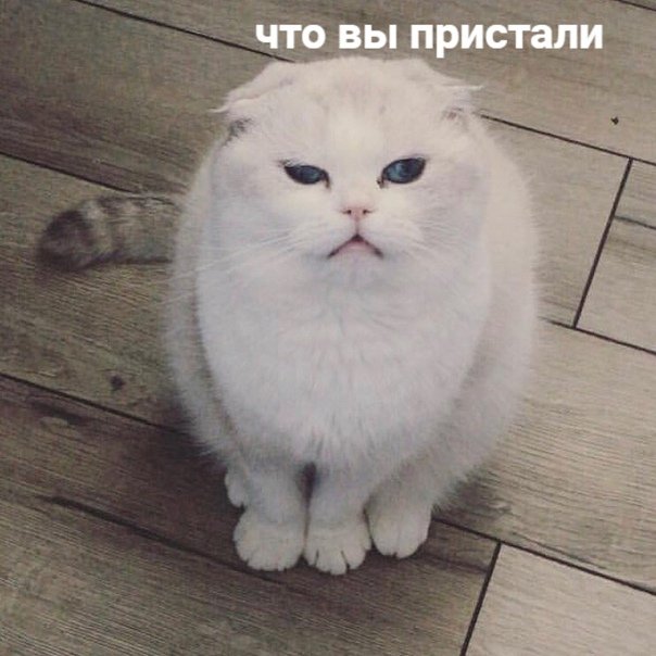 best_hero__'s tweet photo. Когда общество в очередной раз спрашивает тебя, почему ты вдруг из накачанной машины для убийств стал прыщавым дрищем. https://t.co/jU6USvwfLO