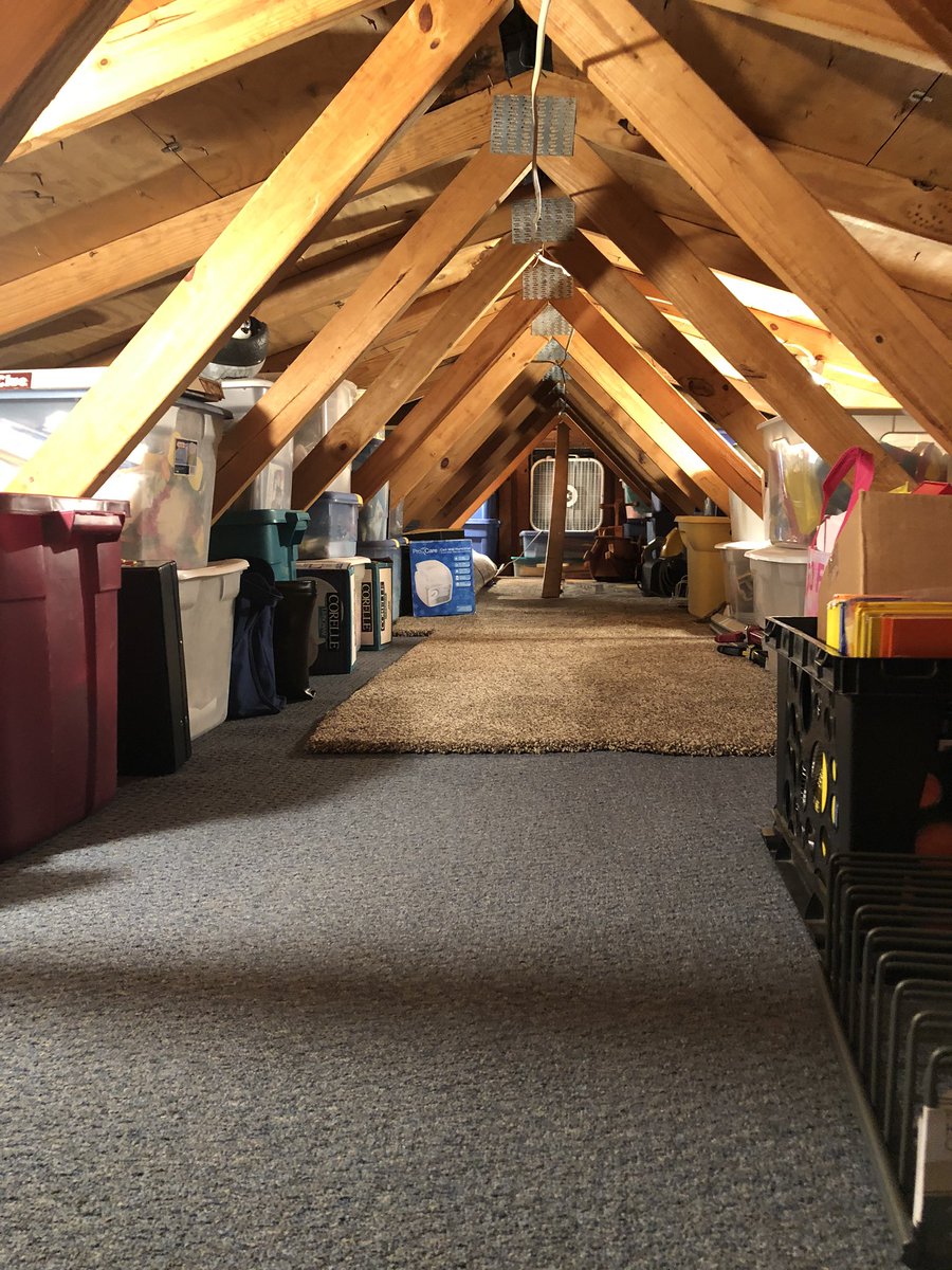 MrsReadnour's tweet image. Attic clean-up completed! 🎉The clubhouse is open again!😊 #SiblingFun #IndoorHideout #MakingMemories #WindsorWay @WMSowls @mholland7261977 @TheChamTeacher