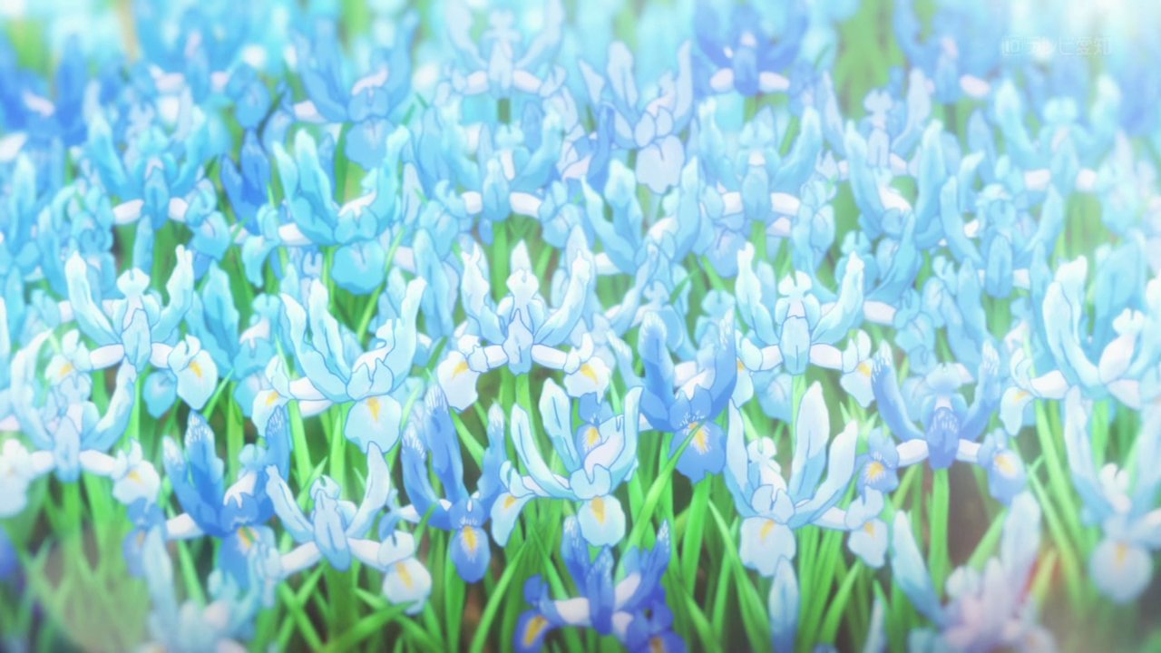 Anime flower field scenery HD wallpapers  Pxfuel